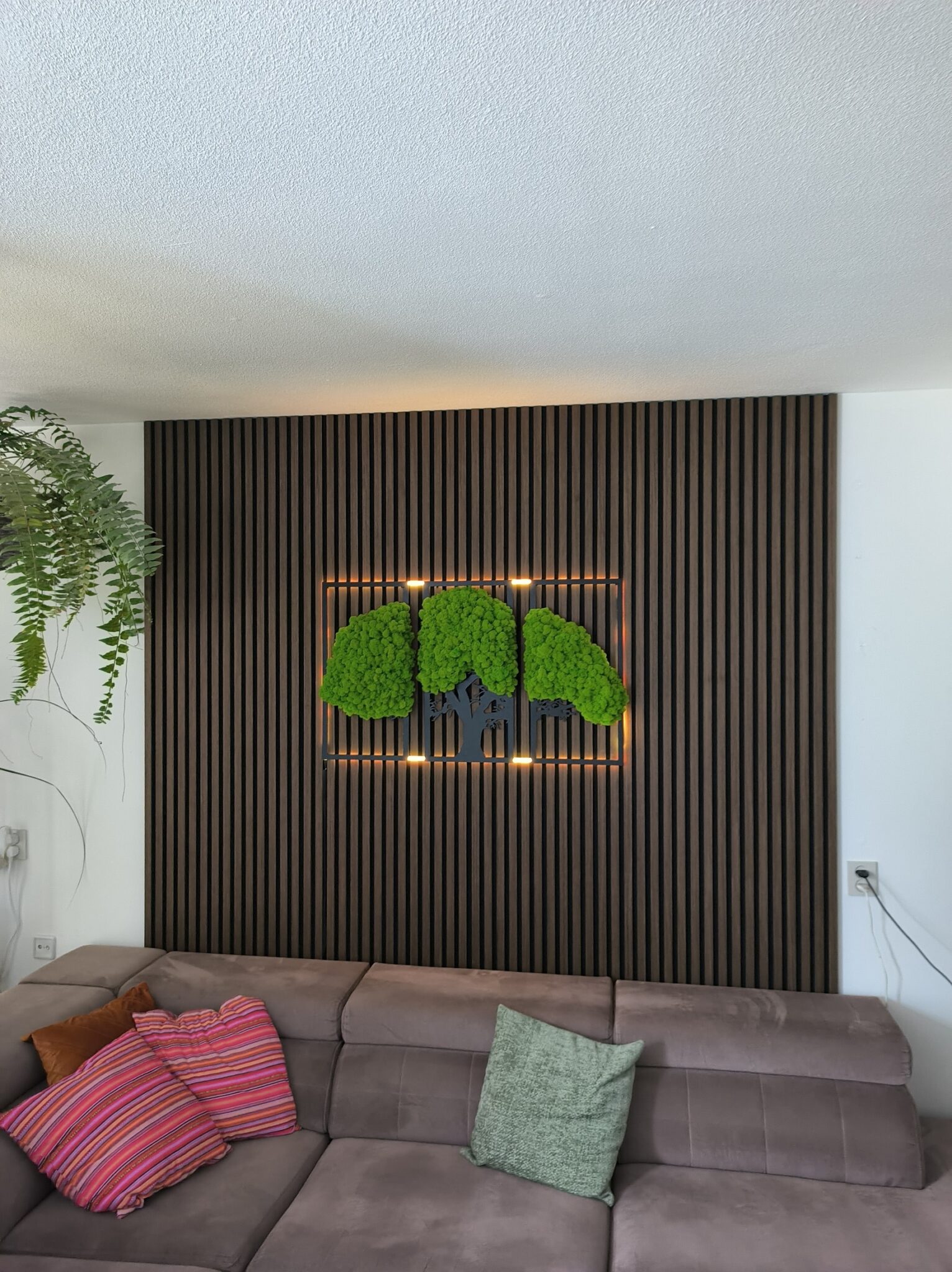 img 20240810 184233